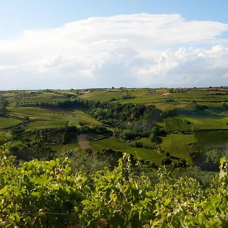 Il Riccio Volante