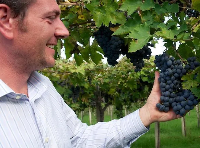 Il Riccio Volante * Ортона